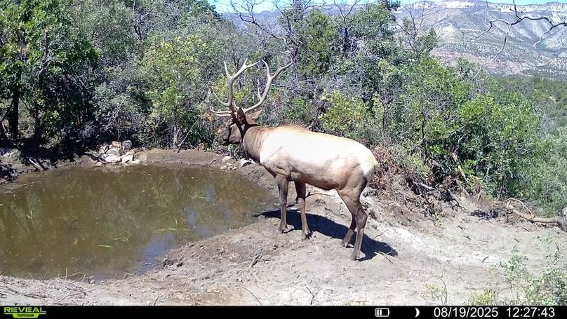 016578004083249-40-3-08192025122743-V-SYFW00045