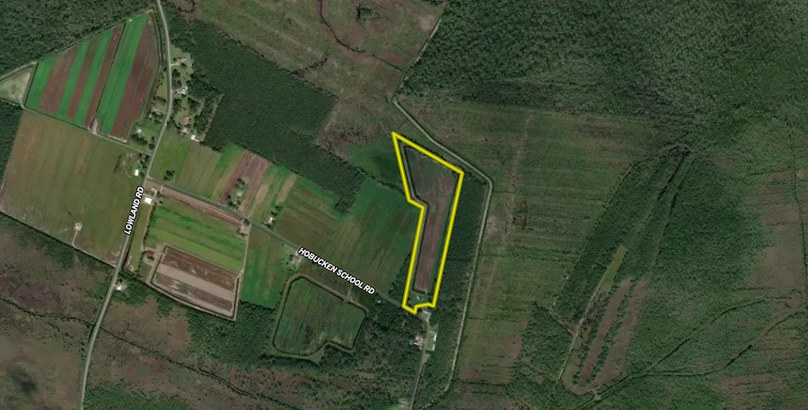 Screenshot 2024-10-24 154322