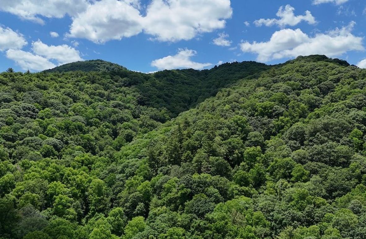 dji_fly_20240624_140330_0007_1719260734115_photo