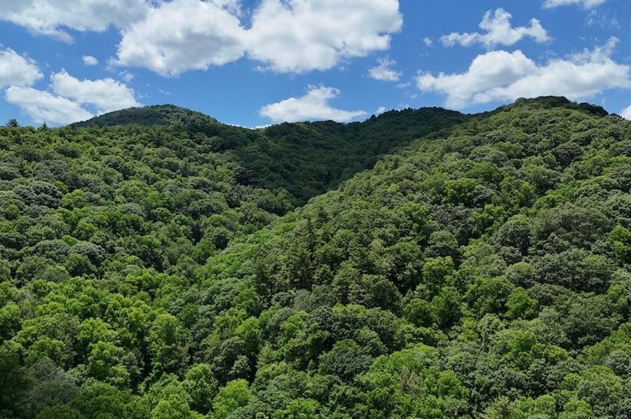 dji_fly_20240624_140330_0007_1719260734115_photo