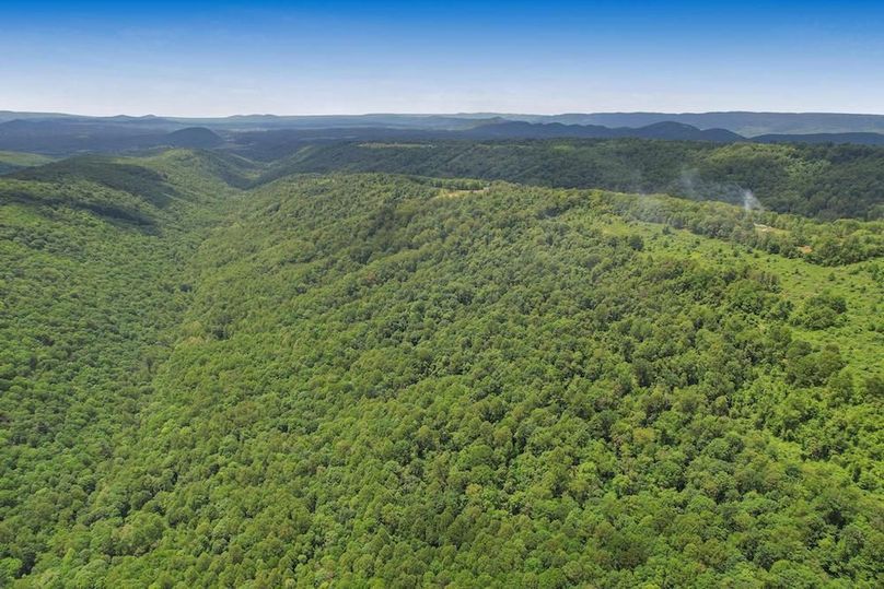 DJI_0441