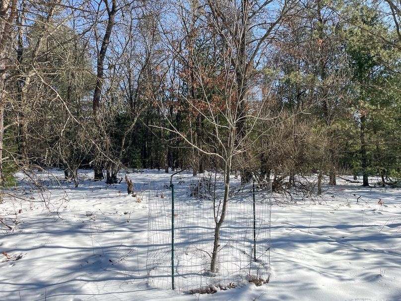 Adams 25, Nessler -39