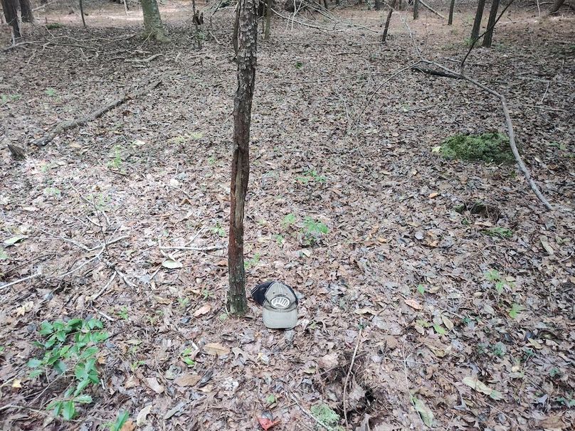 IMG_20250830_133218710