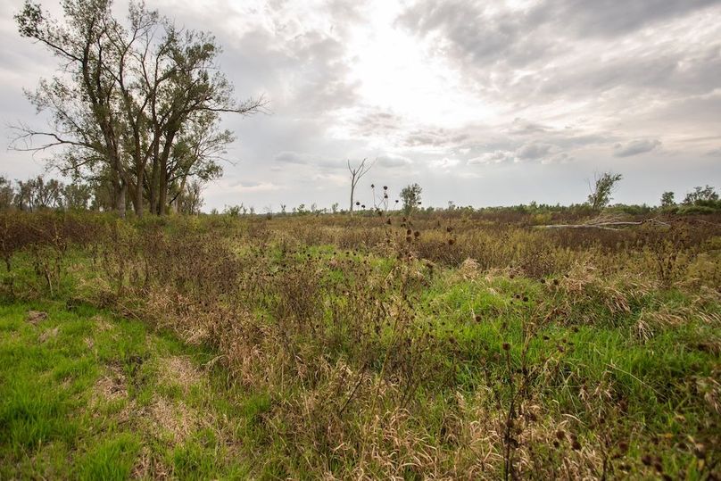  BLACKDOGBEND SOUTH_37