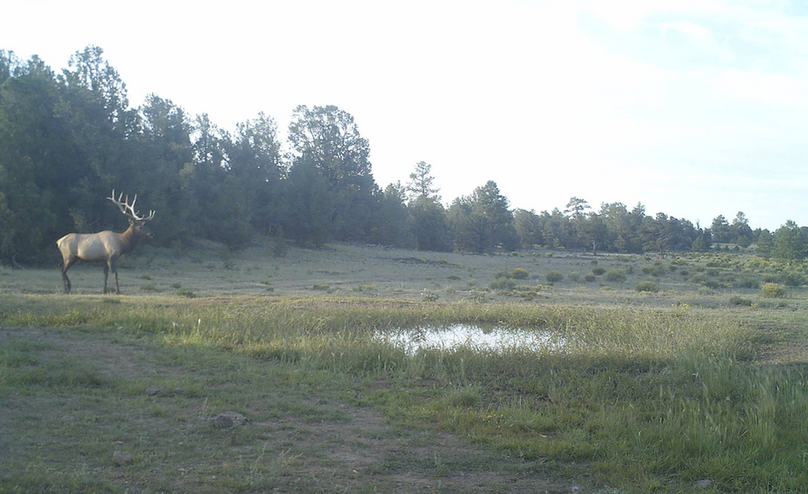 Screen Shot 2022-04-18 at 12.54.16 PM