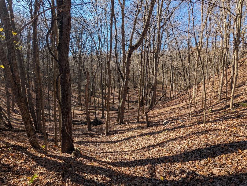 PXL_20231103_152807957