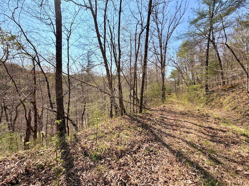 Scott Co TN 286 Keeton_067