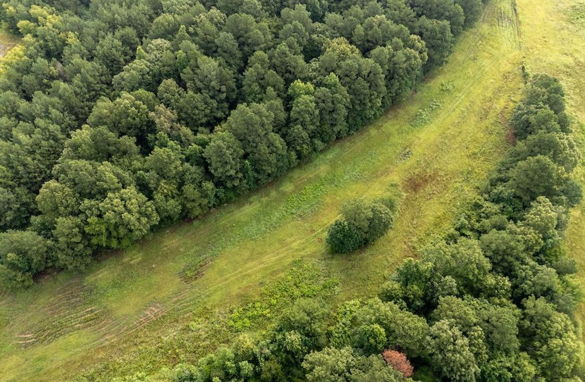 3 Panola Co. 40ac - Rouse-12