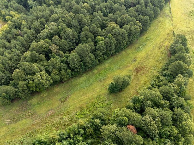 3 Panola Co. 40ac - Rouse-12