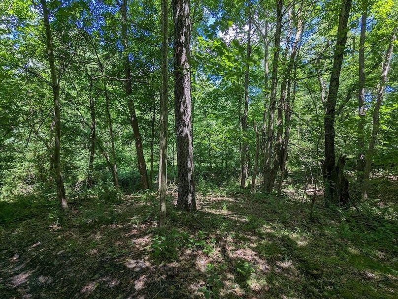 PXL_20240607_184141613