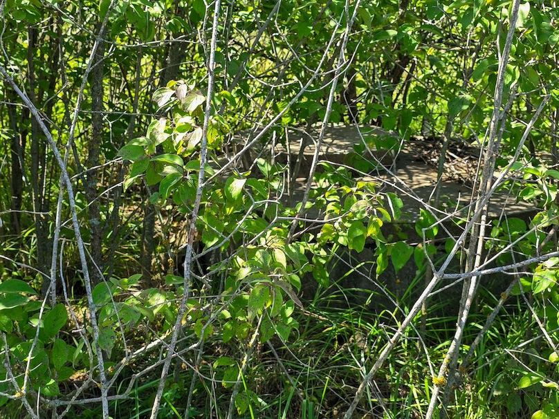 Copy of 20250729_112902