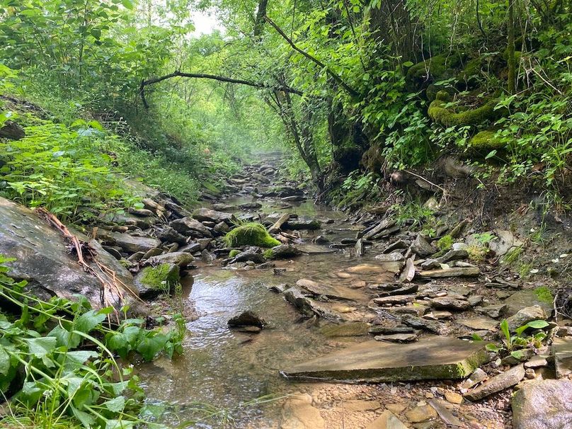 013 the branch that flows alongside Jess Ray Road copy