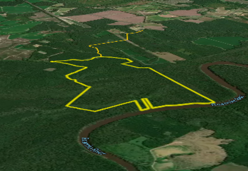 Bertie Co, NC 350 - Laydown