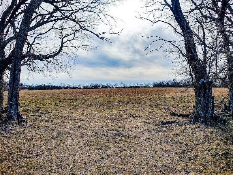 DJI_20260119125245_0783_D