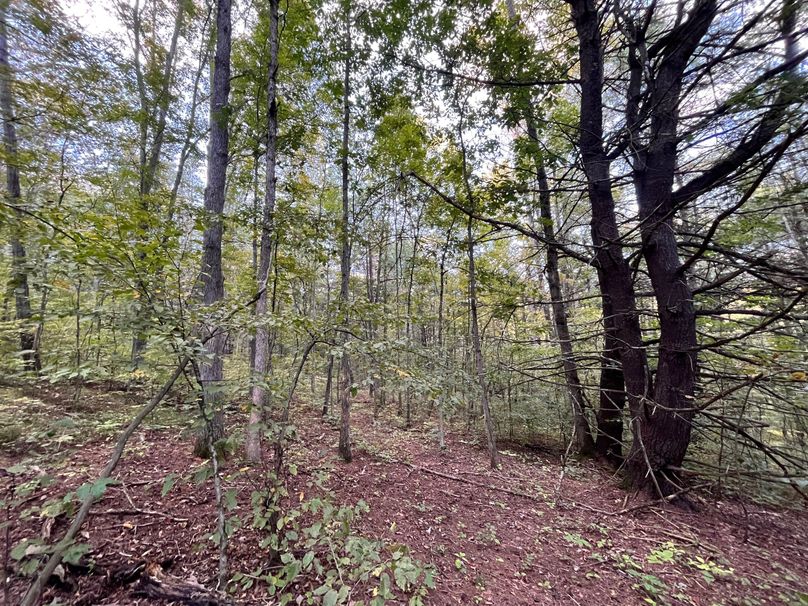 Tioga_20_Peters Photo 17