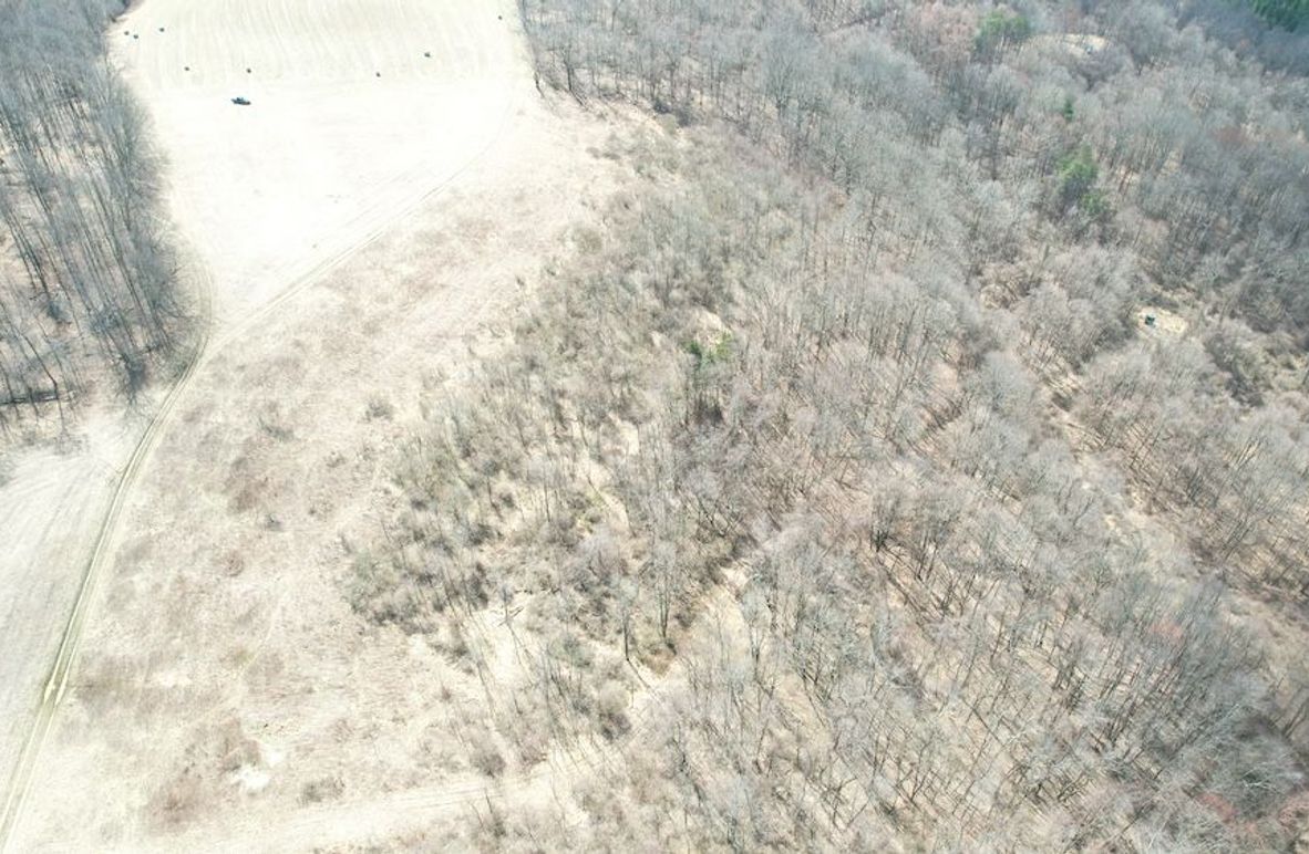 dji_fly_20250325_123522_46_1742920835115_photo