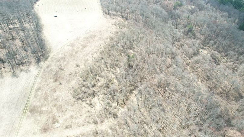 dji_fly_20250325_123522_46_1742920835115_photo