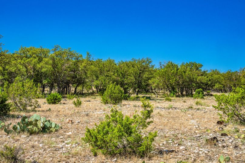 58-web-or-mls-DSC08669