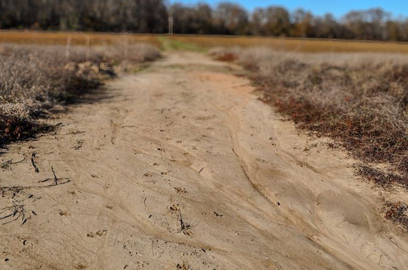 Lafayette 283.5 Jackson Initial Listing Photos -12