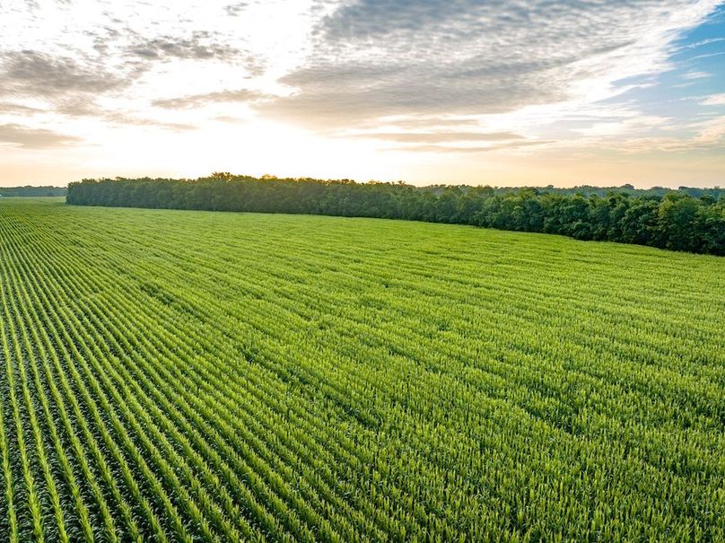 Copy of Noxubee 112.1 +- Tract 1-24