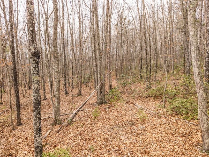 DJI_20260304160600_0037_D