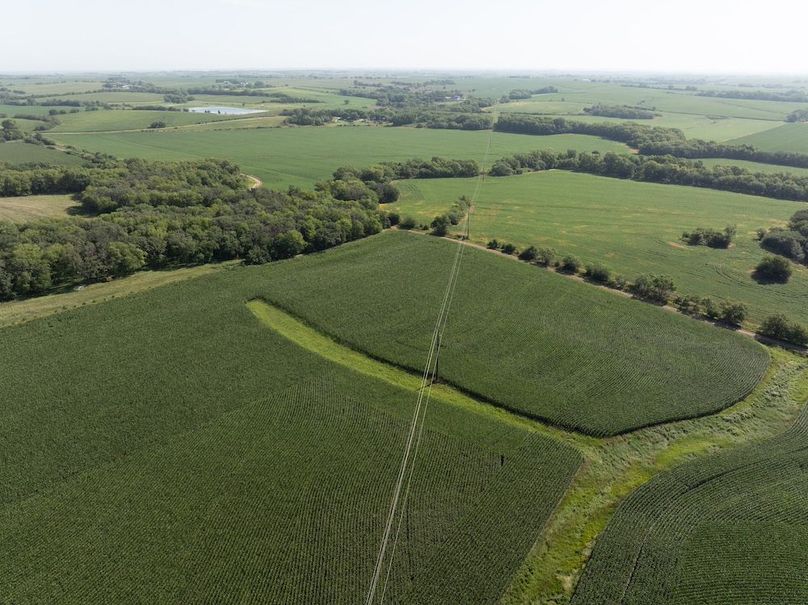 DJI_20250729095314_0027_D