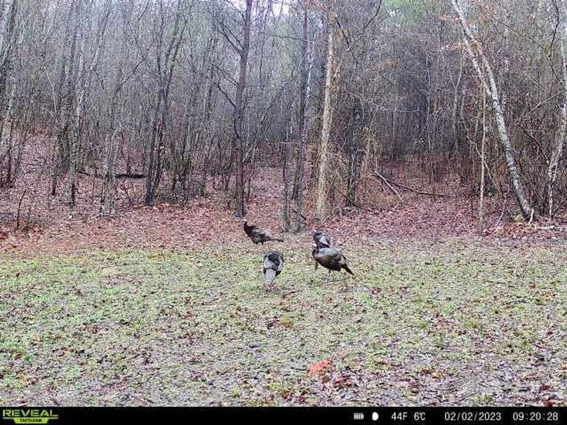 d9a86bae-8aea-45f4-8f80-728903ac298d