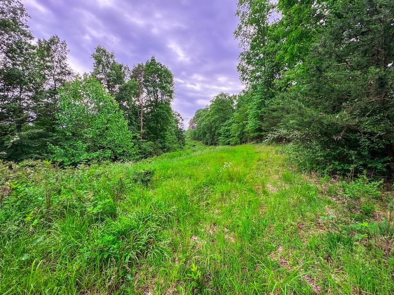 Tyler, WV 313.87 AC -16