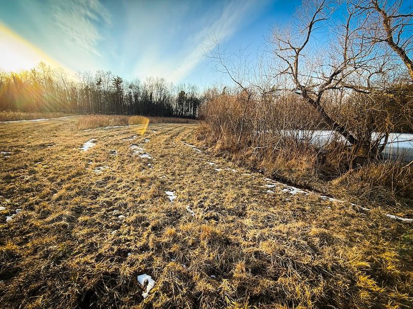 Seneca_24.54_Hohwald_Photos_20