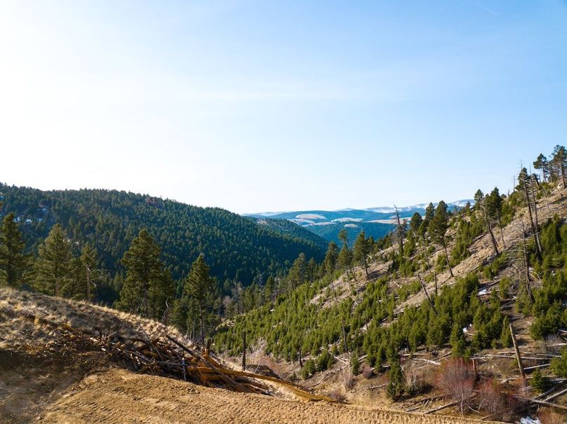 20250410-DJI_0012