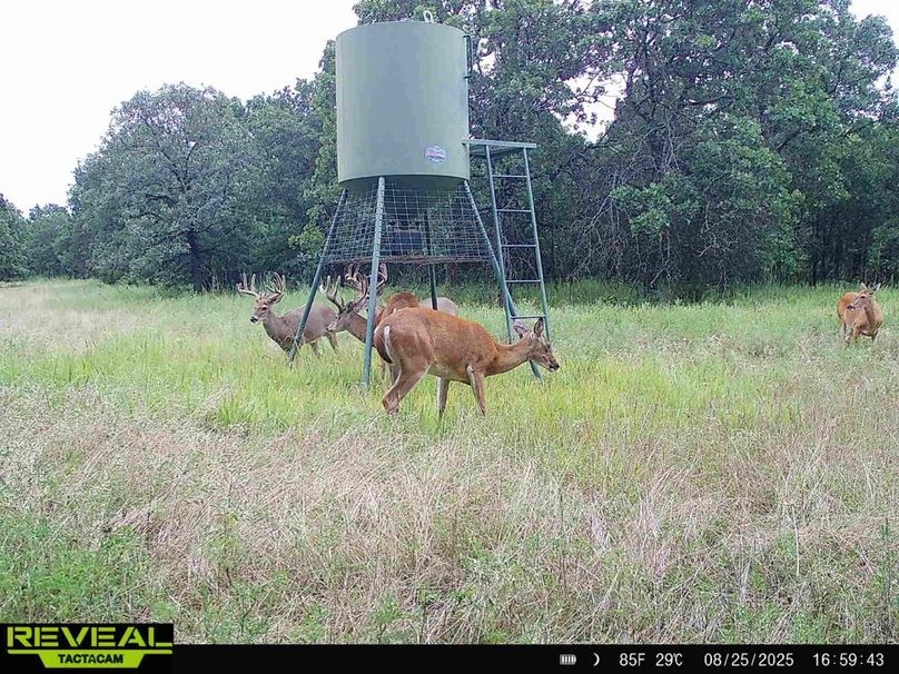 865814048246068-50-2-08252025165942-HD-W1000373