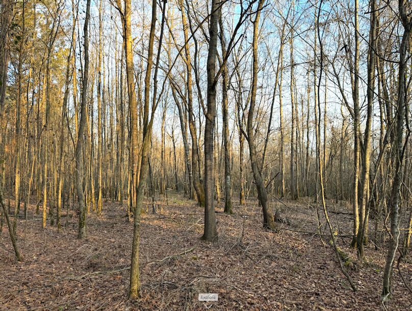 Screenshot 2025-10-03 at 11.14.07 AM