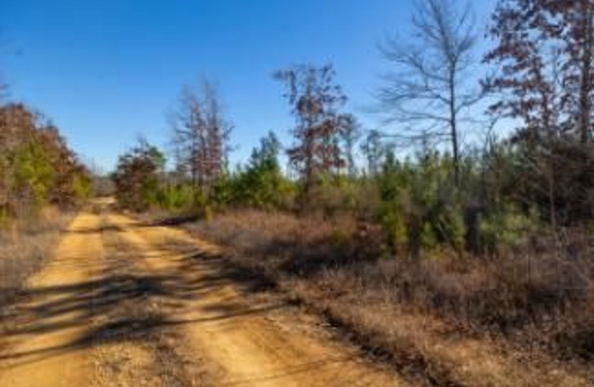 MCKINNON TRACT 19-05