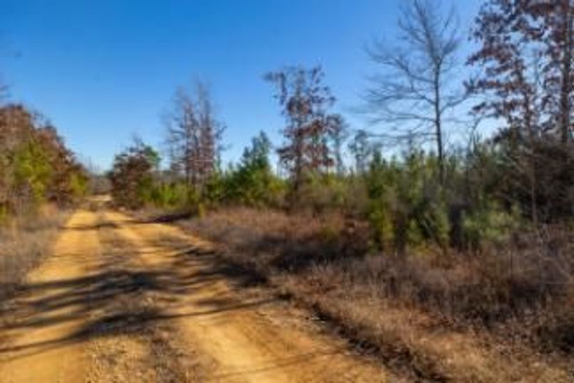 MCKINNON TRACT 19-05