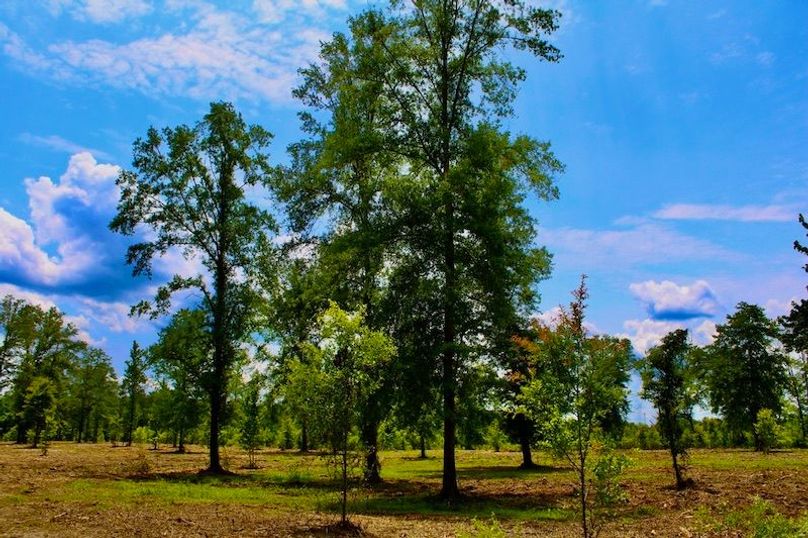 69C6EB85-5592-41EE-B5A9-9E73EB39174A_1_105_c