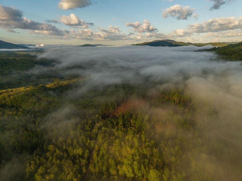 DJI_20250505071336_0004_D