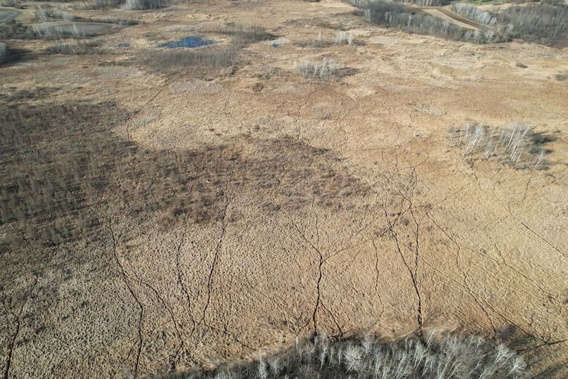 dji_fly_20260415_174536_170_1776293462531_photo