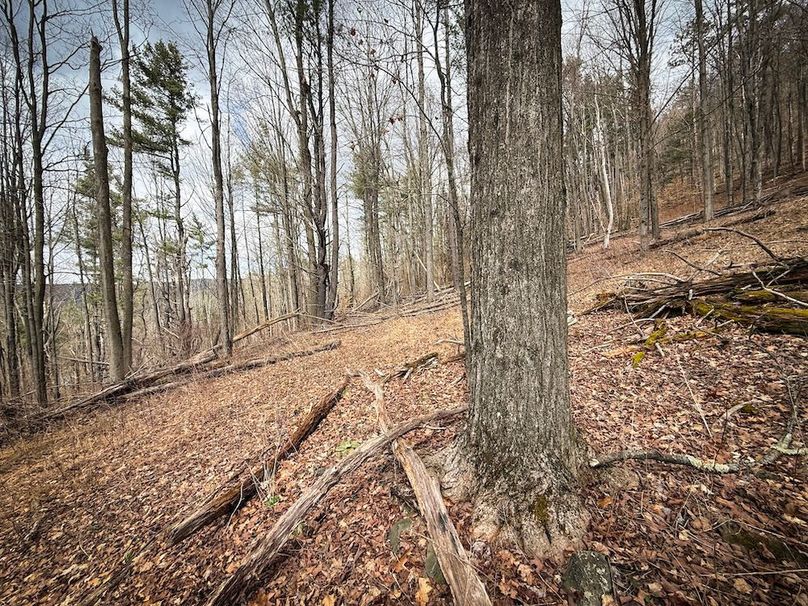 Chemung_32.07-Bower_photos_46