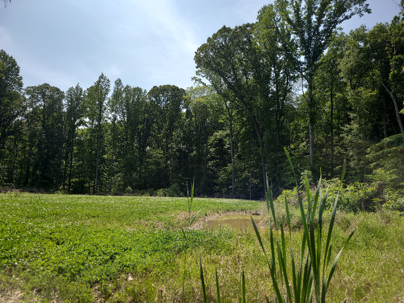 26.48ac_McKenneyLn_QAnnes_43