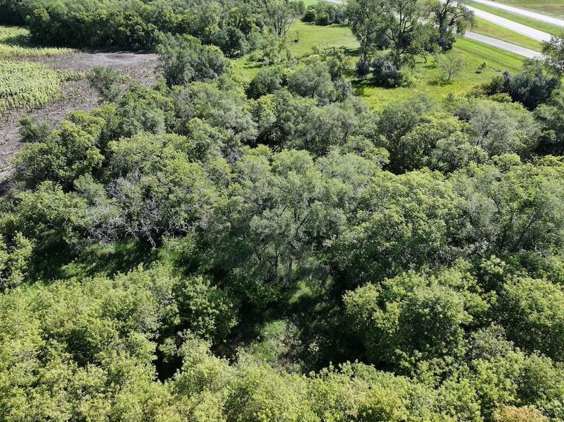 DJI_20250722152018_0685_D