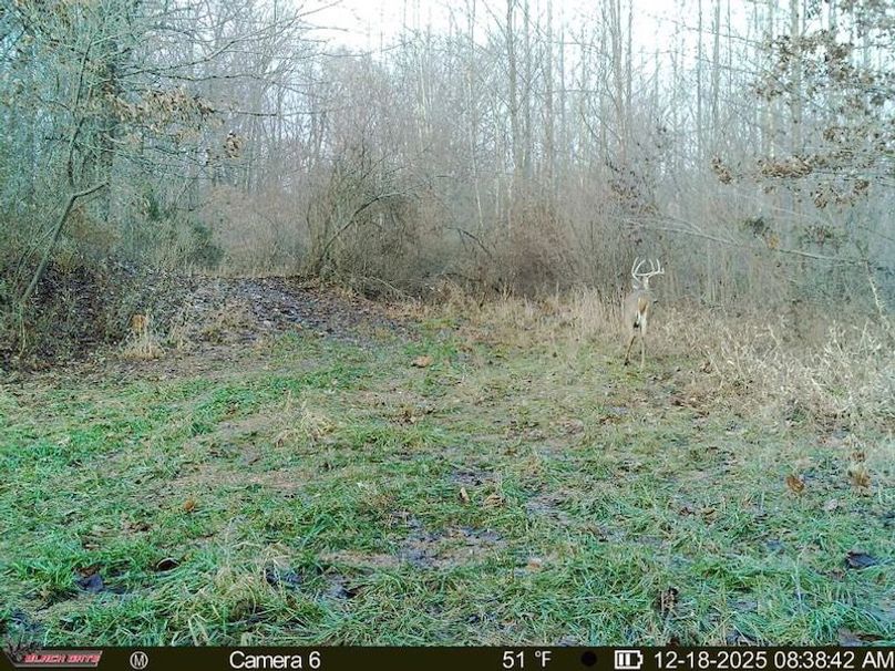 85E8A08B-43DD-4D4C-8E0A-B717505DFF85