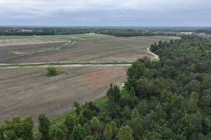 DJI_20241003084840_0004_D