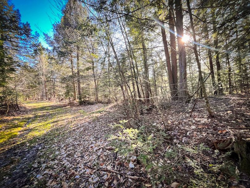 Oswego_17.88_Feld_Photos_78