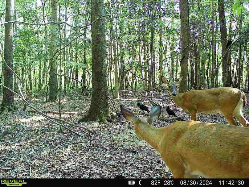 867490071149517-100-3-08302024114230-W1000712_8830820839702