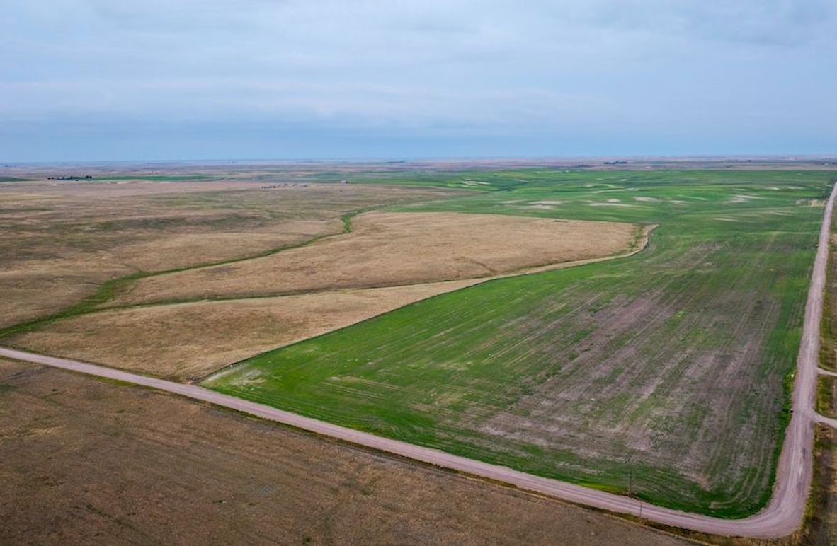 DJI_20250823060605_0166_D-HDR