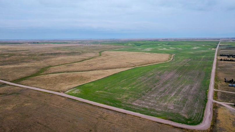 DJI_20250823060605_0166_D-HDR