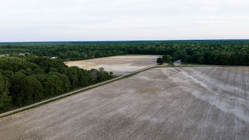 WhiteCoArkansas-19