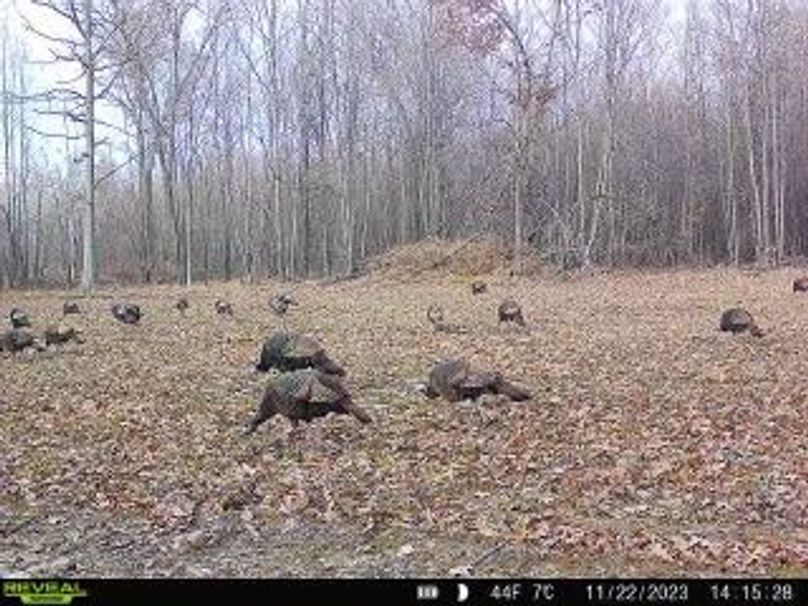 c0591cce-6ab1-468f-9423-7b4013dd0121