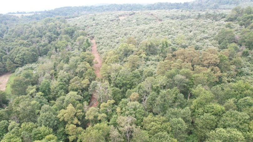 dji_fly_20250806_125146_542_1754499875279_photo