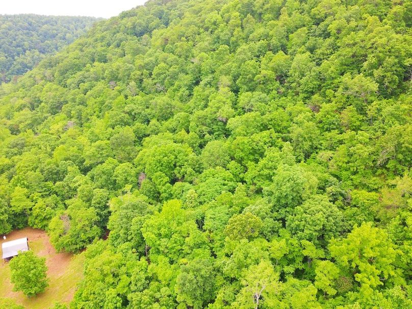 DJI_0340